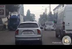 Хитрый голубь прокатился на крыше автомобиля (видео)