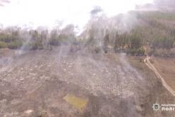 Полиция задержала поджигателя леса в Чернобыльской зоне (видео)