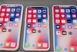 Рассекретили новинки: три iPhone 2018 года (видео)