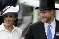 Королевский дебют: Меган Маркл на конных скачках в огромной шляпе (видео)