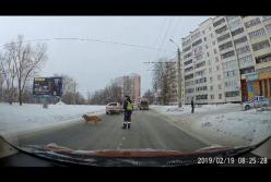 Челябинский полицейский помог хромой собаке (видео)