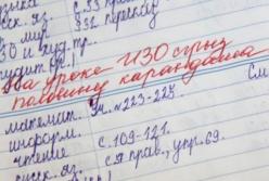 Актуальный юмор: ​отец об этом даже не знал, пока не проверил дневник сына (видео)