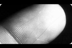 Как 480 миллионов иголок оказалось на Орбите? (видео)