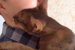 Целует и обнимает: кот ведет себя так, как будто не видел хозяина 10 лет (видео)