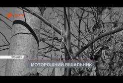 В Черкасской области молодой отец повесился из-за финансовых проблем (видео)