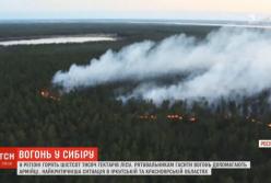 В Сибири горят 600 тысяч гектаров леса (видео) 
