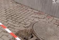 Мощный взрыв в центре Львова в канализационном колодце (видео)