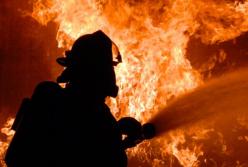 Масштабный пожар на единственном курорте боевиков ДНР (видео)