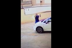 Мужчина поймал собаку, падавшую с балкона высотки (видео)
