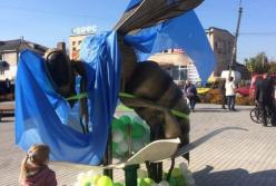 На Волыни появился самый большой в мире памятник пчеле (видео)