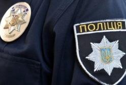 Нетрезвый киевлянин сыграл патрульным на баяне (видео)