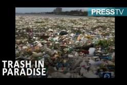 Мусор в раю: Карибское море не видно из-за тонн мусора (шокирующее видео) 