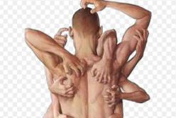 Почему у нас "чешется"? (видео)