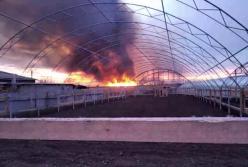 Под Одессой произошел масштабный пожар, горел заповедник (видео)