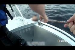 В Киеве пьяный мужчина выпал из экскурсионного теплохода в Днепр (видео)