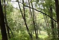 Видео допроса убийцы 16-летней школьницы (видео)