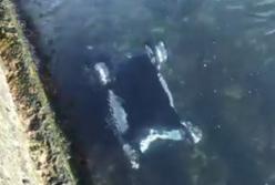 Ураганный ветер снес в море коляску с ребенком в Одессе (видео)