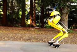 Роботов уже поставили на ролики! (видео)