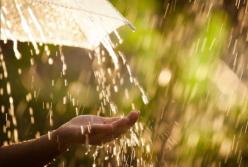 В Украину опять прийдет резкое похолодание и дожди (видео)