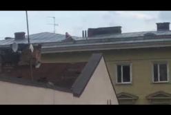 Пара занялась сексом на крыше дома в центре Львова (видео)