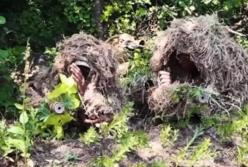 Учения снайперов ВСУ показали на видео