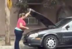 "Я же фея!" Женщина-водитель чинит авто с помощью постукивания палкой (видео)