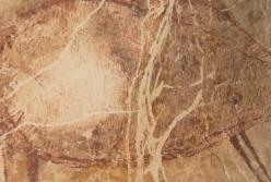 40 тысяч лет на скалах: древняя живопись была найдена в Индонезии (видео)