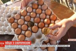 В Ровно женщина приобрела яйца с живыми червями внутри (видео)