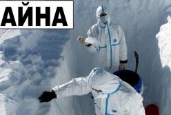 Находки в Антарктиде шокировали весь мир (видео)