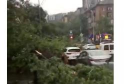  Ужасный ураган внезапно начался в Киеве (видео)