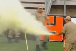 Пчелы атаковали футболистов прямо перед матчем (видео)