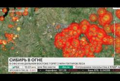 Сибирь в огне: никто не тушит масштабные пожары (видео)