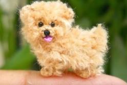 Самые маленькие собаки в мире (видео)