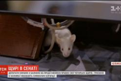 Колумбийские депутаты бросали друг-в-друга крыс (видео)