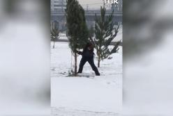 К приезду Путина в Красноярске завезли снег и втыкают сосны без корней (фото, видео)