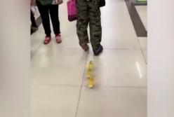 Мужчина пришел в магазин с необычными пернатыми питомцами (видео)