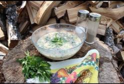Лето на носу: как правильно приготовить вкусную окрошку (видео)