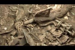 В Китае археологи раскопали священное бронзовое дерево, которому более 3 тысяч лет (видео)