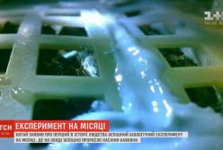 Первое живое растение на Луне (видео)