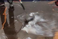 Эпоксидное покрытие пола. Выглядит впечатляюще!