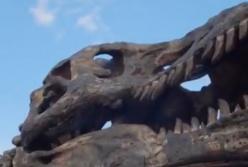 В Китае нашли динозавров на камнях, которым 100 миллионов лет (видео)