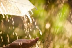 Дождь и прохлада: аномальная жара покидает Украину (видео)