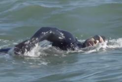 Он плавал в море 157 дней только силой собственных мышц: что с ним стало? (видео)