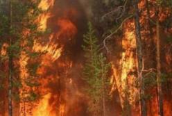 Причины масштабного пожара в Чернобыле: подозрительная находка (видео)