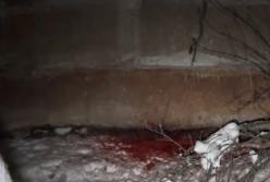  Двое людей подорвались на гранате на собственной кухне (видео)