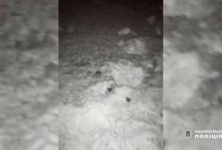 Как харьковчанину оторвало руку при запуске фейерверка (видео)