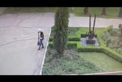 В Кременчуге женщина украла цветы возле памятника Героям АТО (видео)