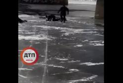 Как спасали мужчину, упавшего в Киеве с моста в реку (видео)