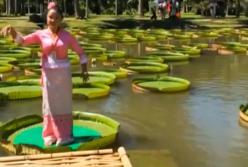 Китайский танец прямо на гигантском листке лотоса  (видео)