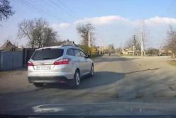 Под Днепром водитель чуть не сбил старушку и изувечил щенка (видео)